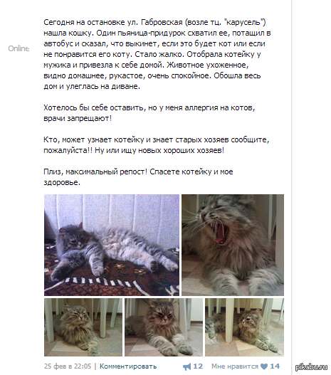 Кто по городу Могилеву (Беларусь) есть отзовитесь