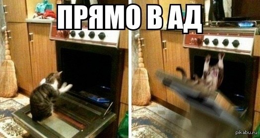 Прямиком слово