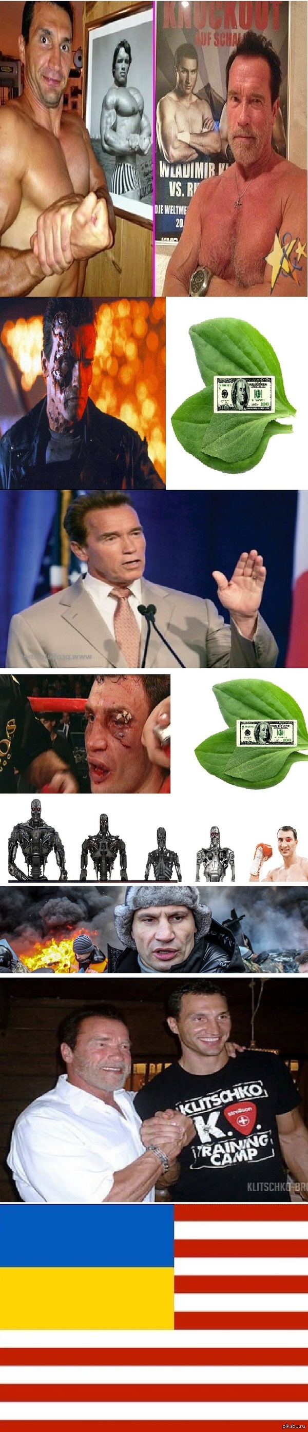 ������������ ������������ ����������