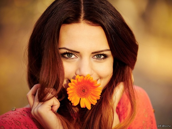 �������, �����, �����.