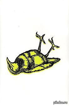 ������ ����