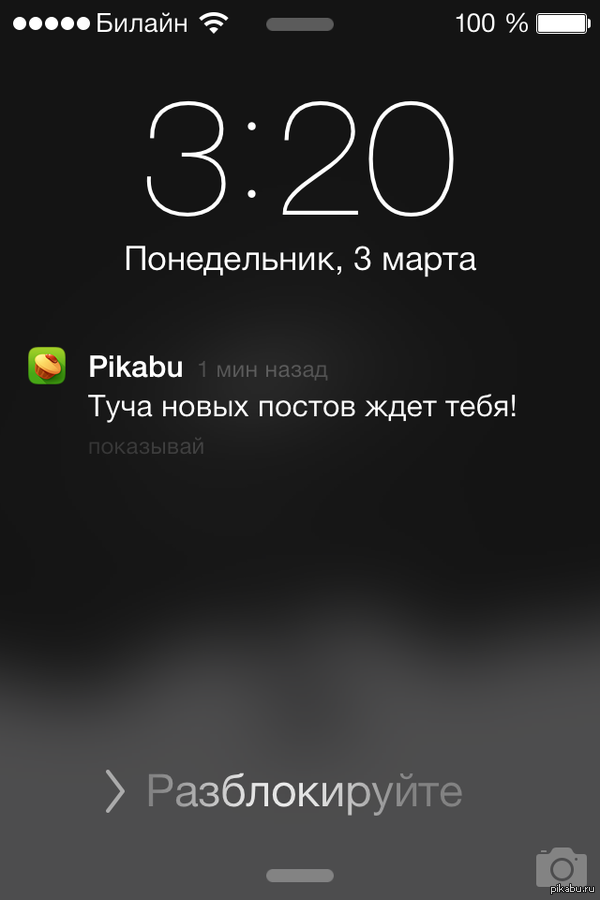 ������ ����������