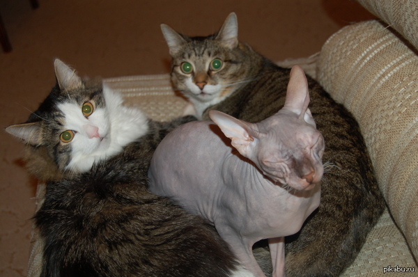 � ���� ��� ���� � �����