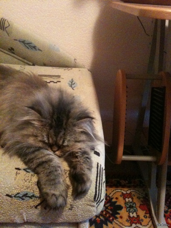 ��� �����! ���������� � ����� ������ �����!