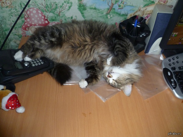 ������ ����� � ���!