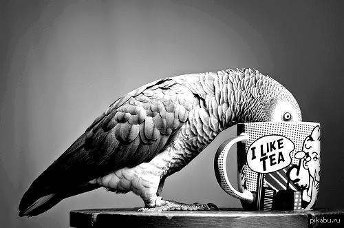 �������� ���� ����� ��� ����� ��� ����