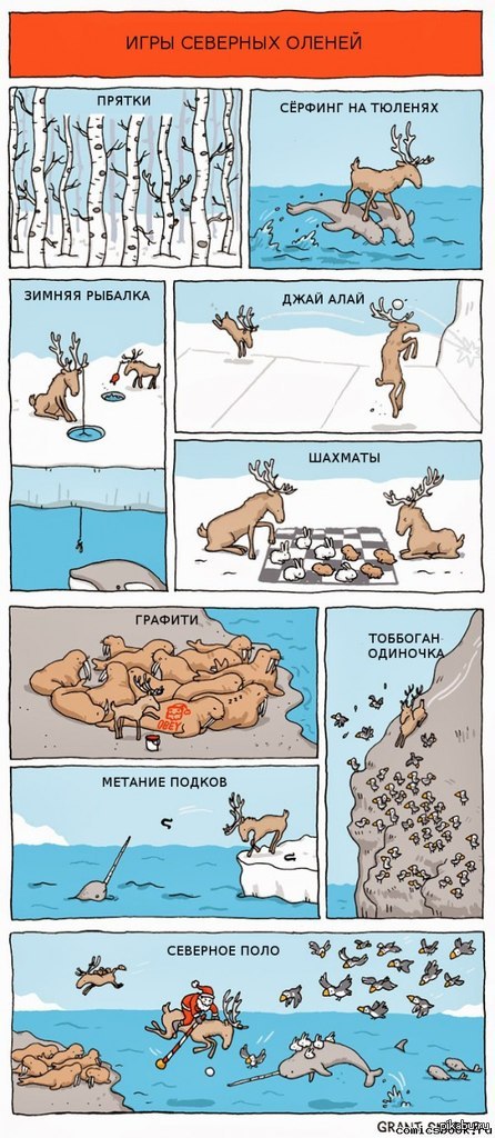 Reindeer games - Winter, Deer, Deer