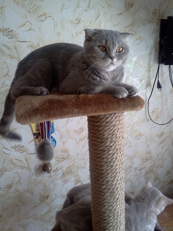 � ������, ����� ������� �������� ���� �������� ;)