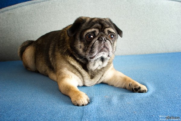 ���� ������� �������..)