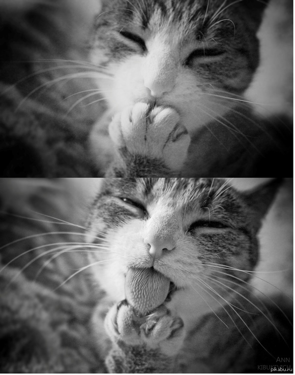 ��������:)