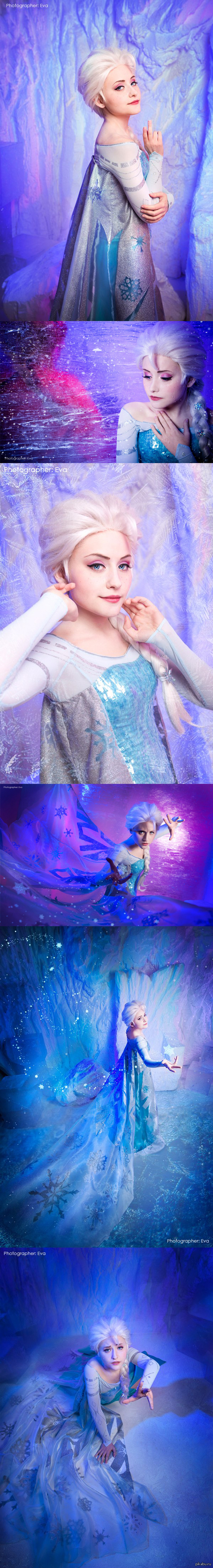     Frozen,     Tink,      ,           .      