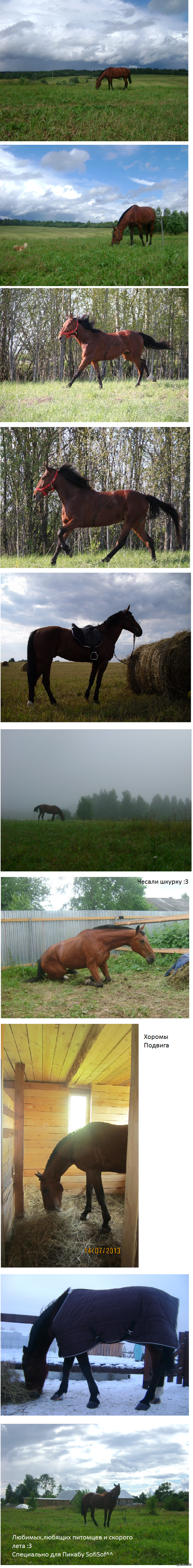 ������. ��������� �� ���� ����� ���� �������.