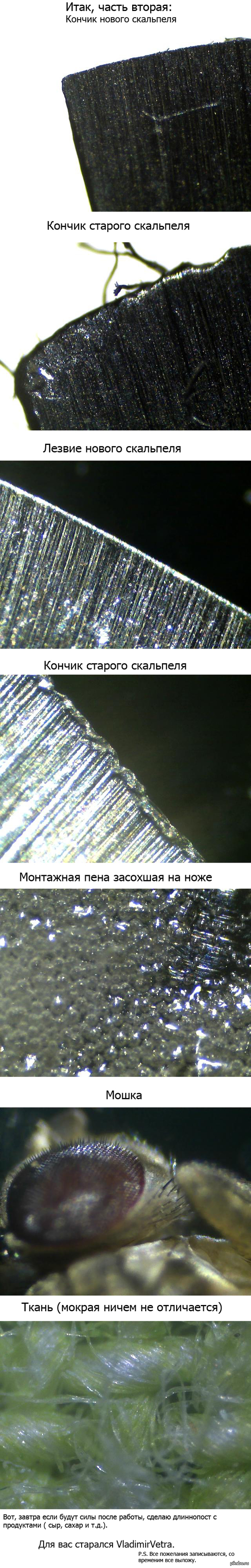 ���� ����������� 2