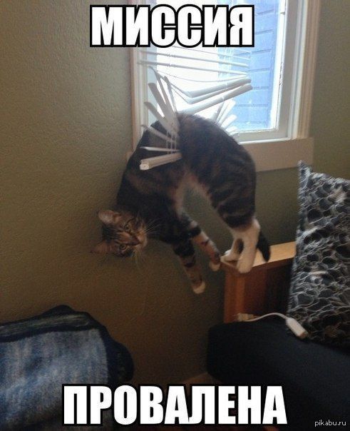 ������ ���������