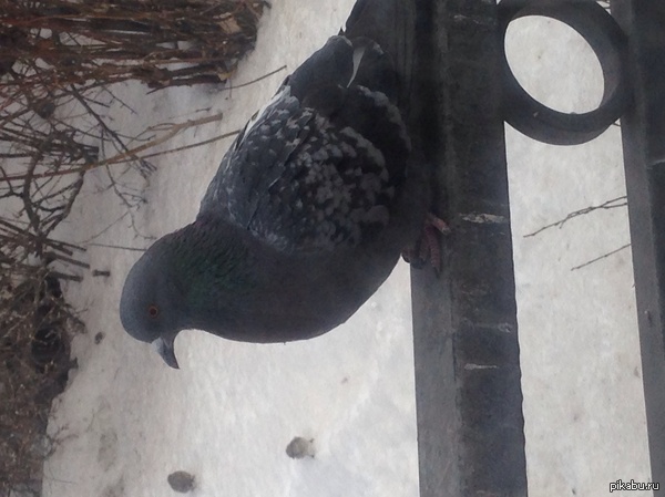 Спишь в трамвае, просыпаешься...а тут такое