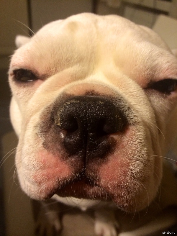 &quot; ,  - ...&quot;