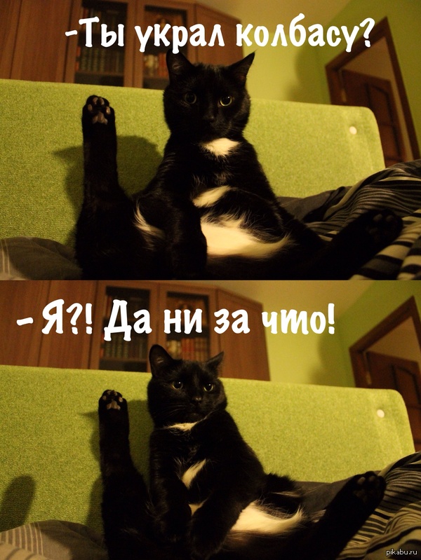 ��� ��� ���� ��� �����