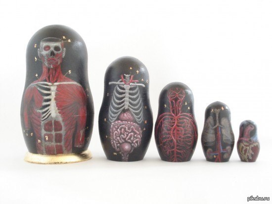 Матрешка анатома