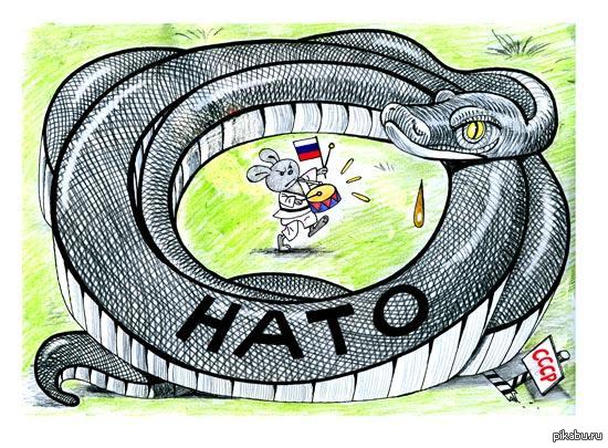 Змея Натовская