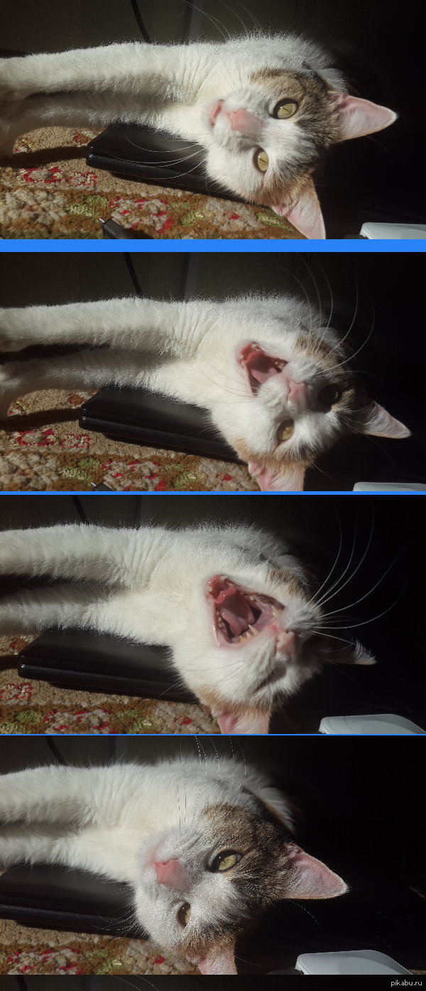 ����� ������