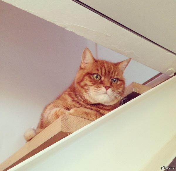 ���� ��� ��������� ��� �� �� 6 ����� � ��������� �����)))