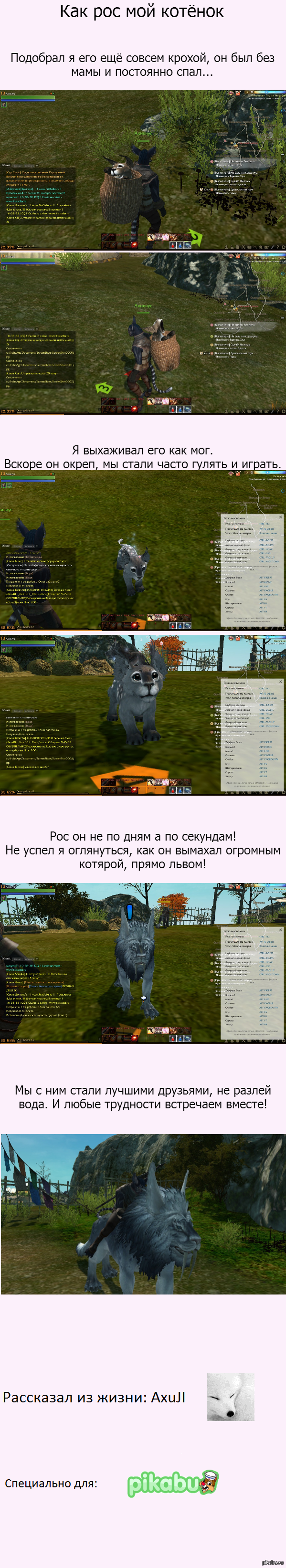  ,   ,   ..,    ,  ,  ,  ...