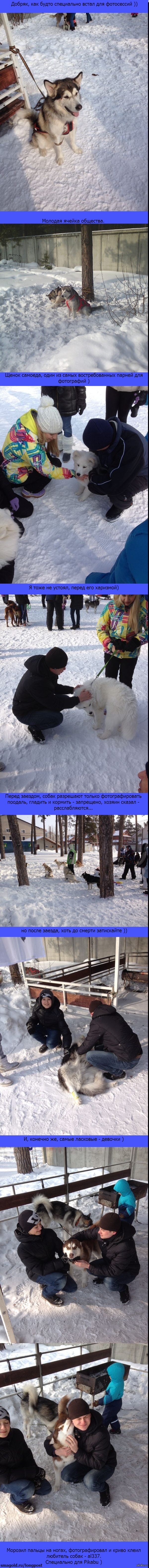    Ice Race, .. 09.03.2014     -     .