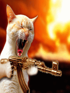 Гифка ошибки 1