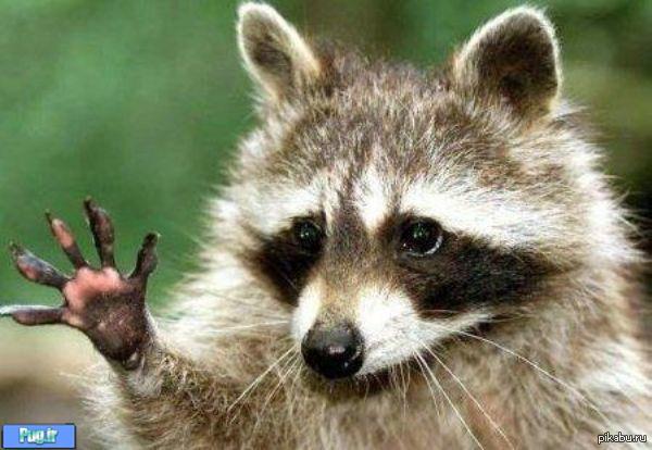 � ��� ��� ������� ��������.