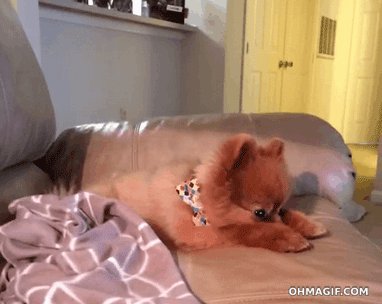 ? ...  , .