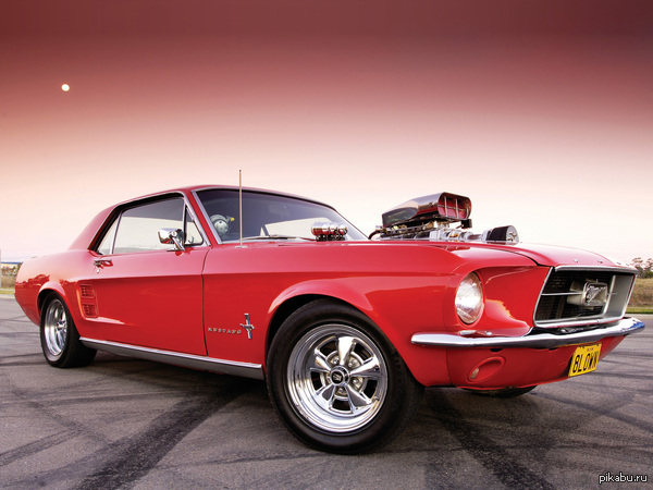  &quot;&quot; 50  9  1964         Ford Mustang