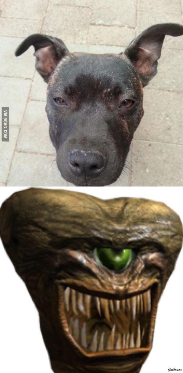 ������ ���� � ���������. ��� � ��� ����