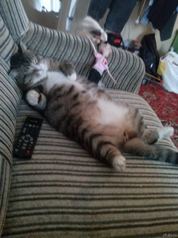 ������ ����� �� �������.