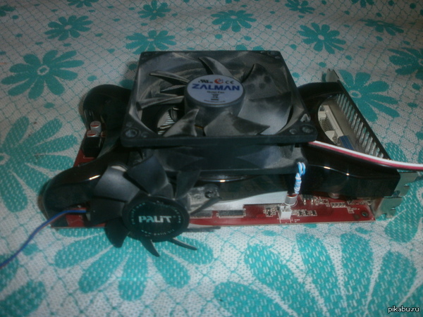 �� ����. � � ���� �������