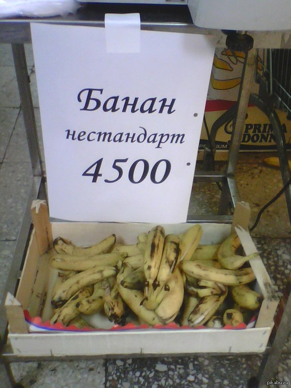 �� �� ���� ���������