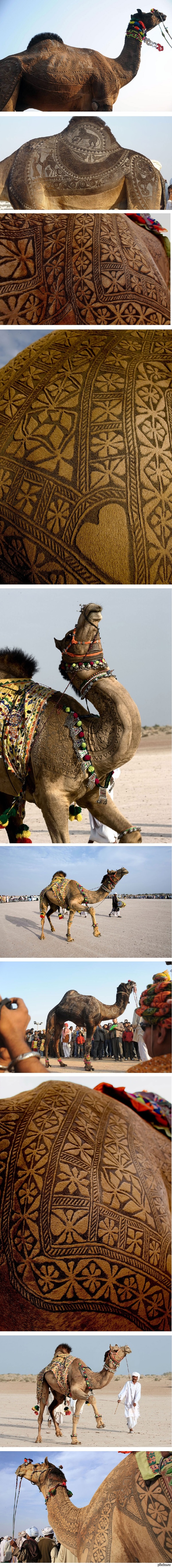 ����� �����)