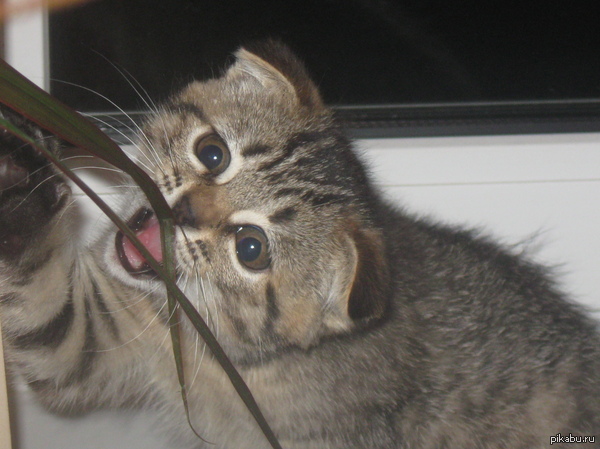 ��� �� ����� ����� ������,�� ��� ��� ���� :)