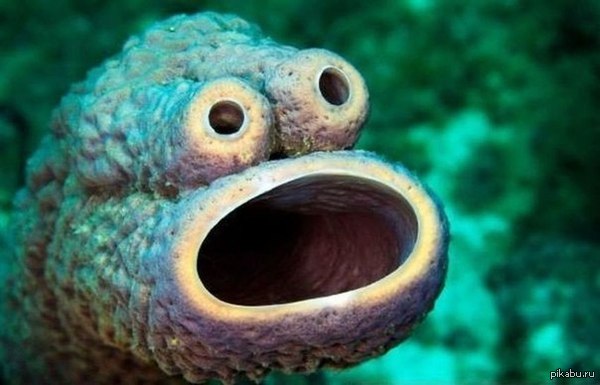 когда нет слов