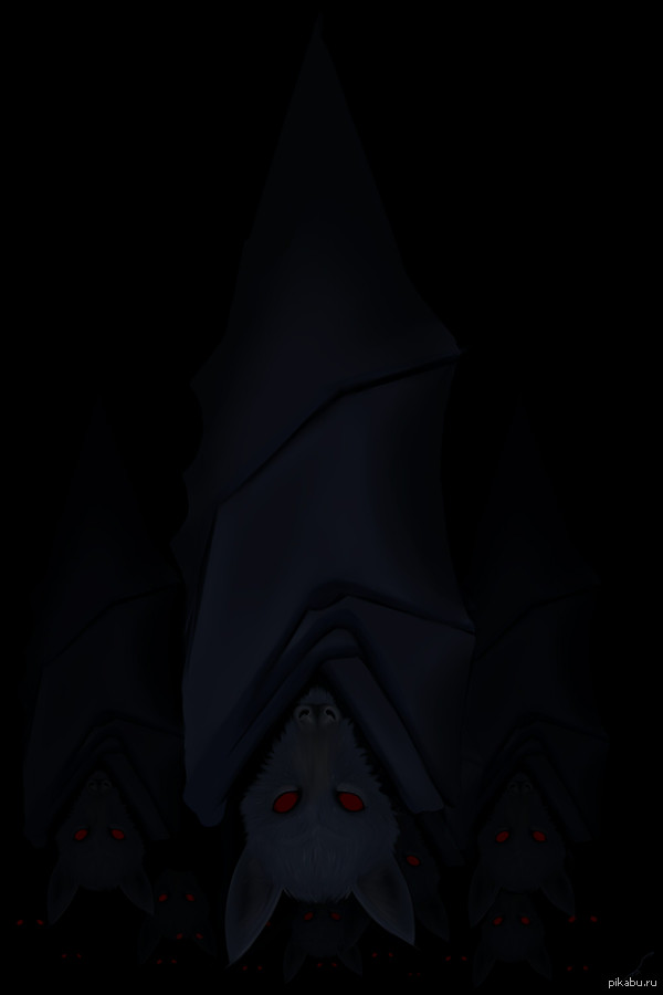 ���������� �� ����! � ���� ��������!