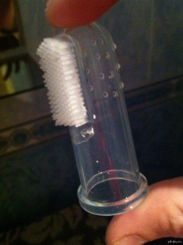 Toothbrush. What did you think?) - Brush, Lol, NSFW