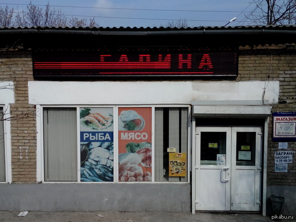 Пробковый магазин "Гадина"