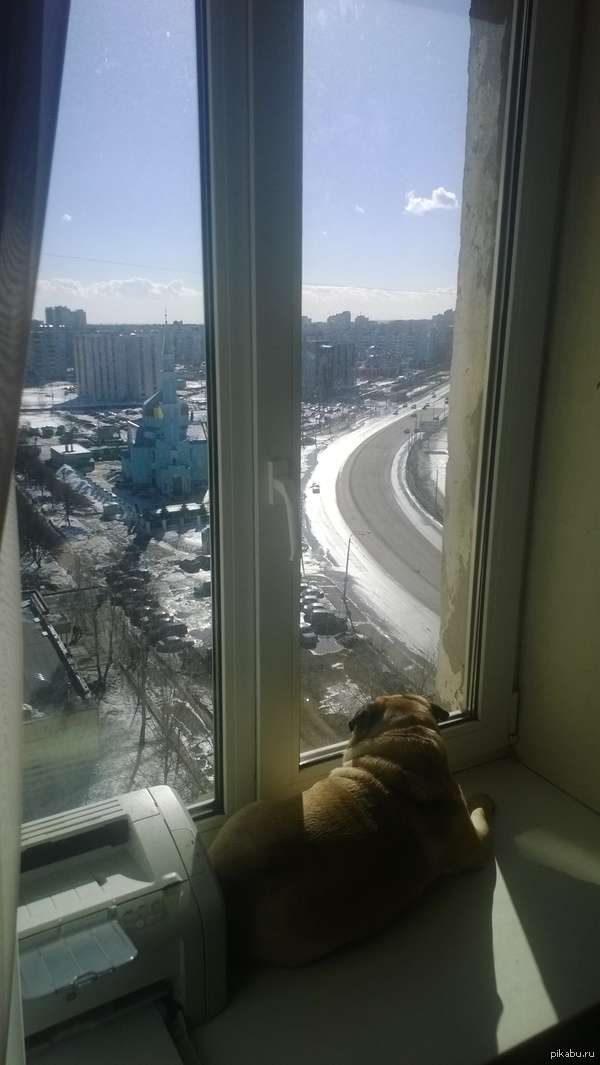 ���� ��������� �� �������� �����.