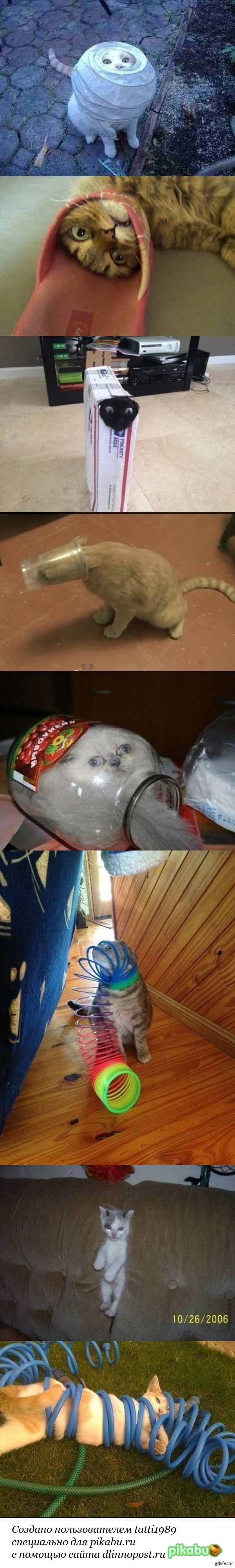 ������� � ����������!