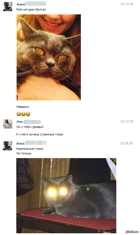 �� ������ ��������� ���������