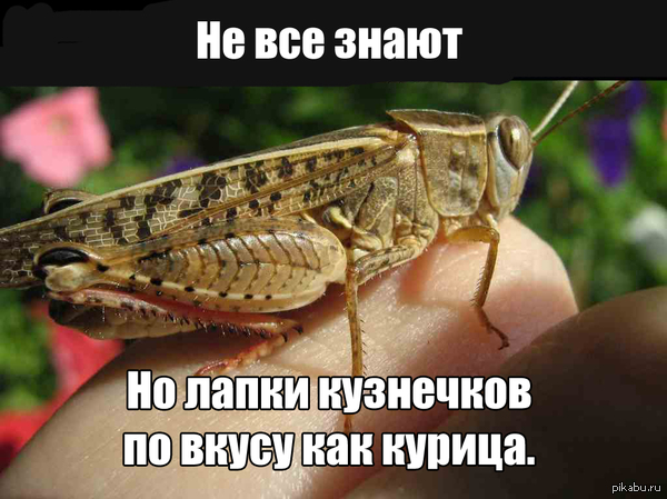 Знают не многие, но это так.