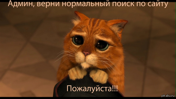 @admin, ,         