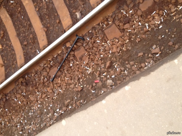 ��� ������ � ����� ������, ��� ����� ���������� �� ������ ������.