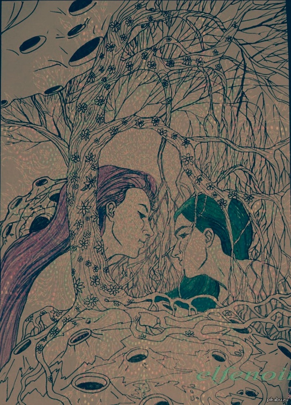 .  ,      . ,    =^&gt;&lt;^=