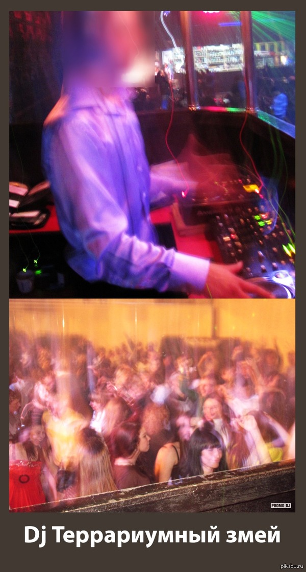 Вещаю из аквариума | Пикабу