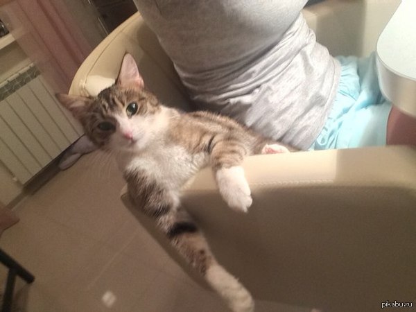 ������� �����